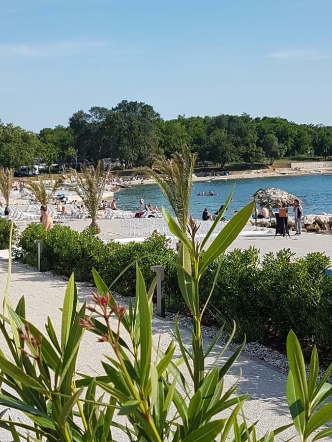Ferienwohnung Mit 2 Schlafzimmer Oder Studio Apartment - Istrien-Fiorini Brtonigla Kültér fotó
